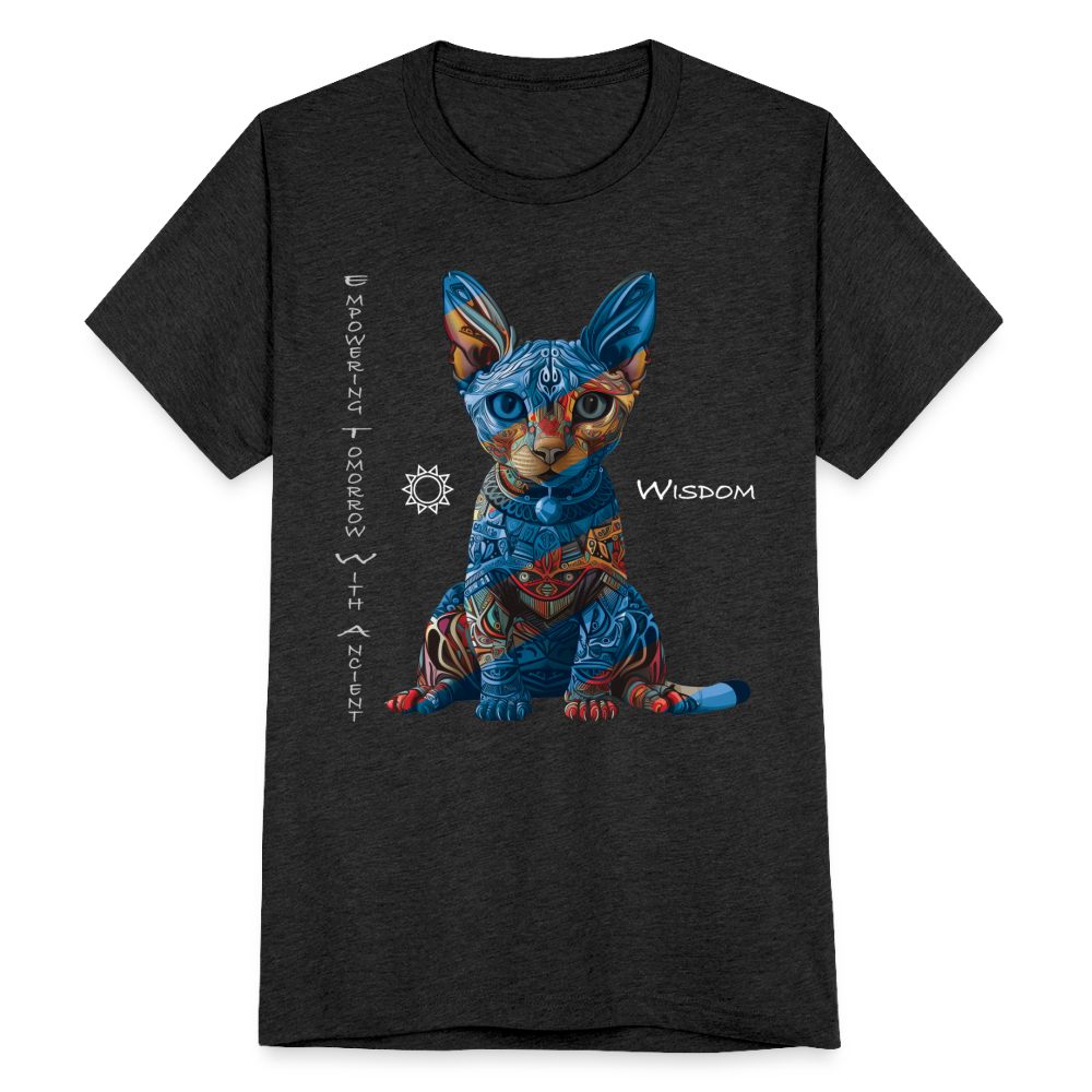 "Empowering Tomorrow With Ancient Wisdom" Egyptian Cat Unisex Tri-Blend T-Shirt - heather black